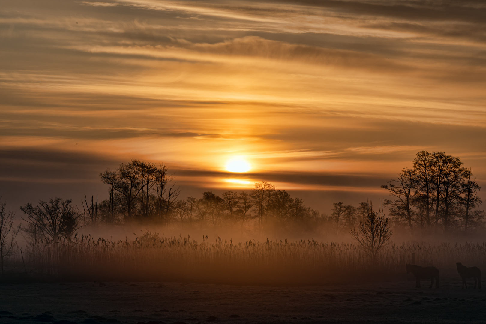 Sonnenaufgang