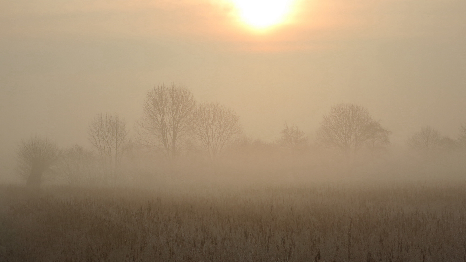 Sonnenaufgang