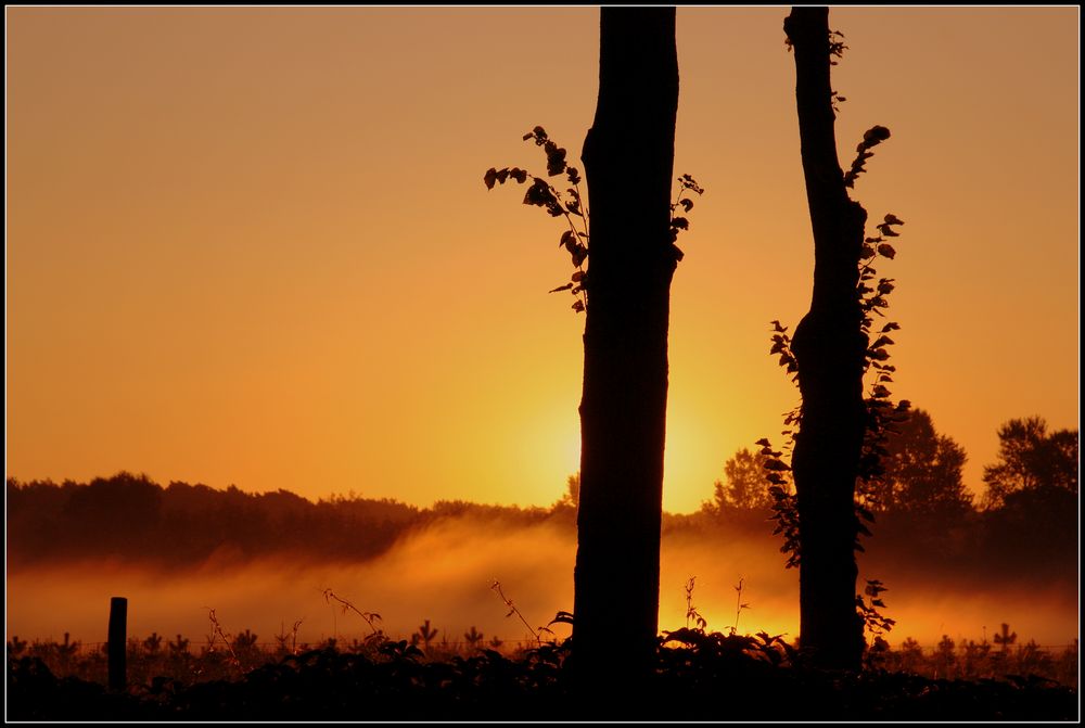 Sonnenaufgang