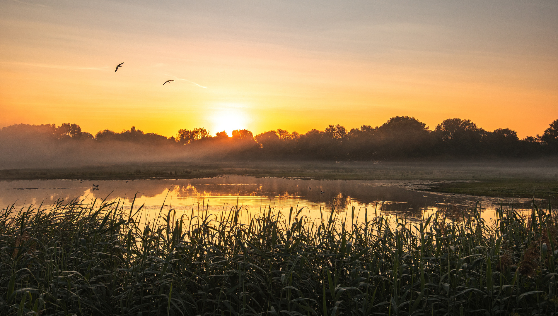 Sonnenaufgang