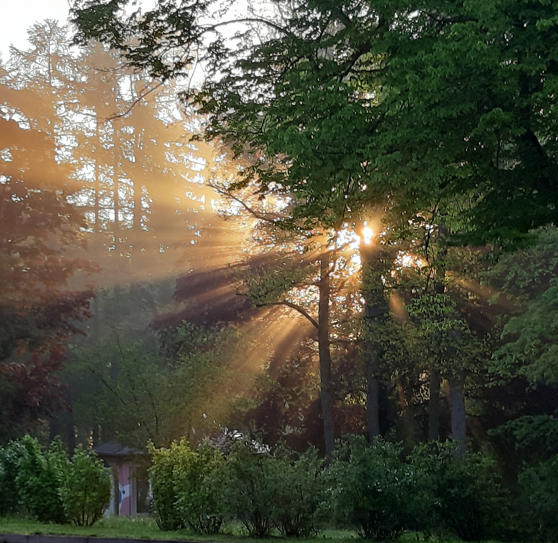 Sonnenaufgang 