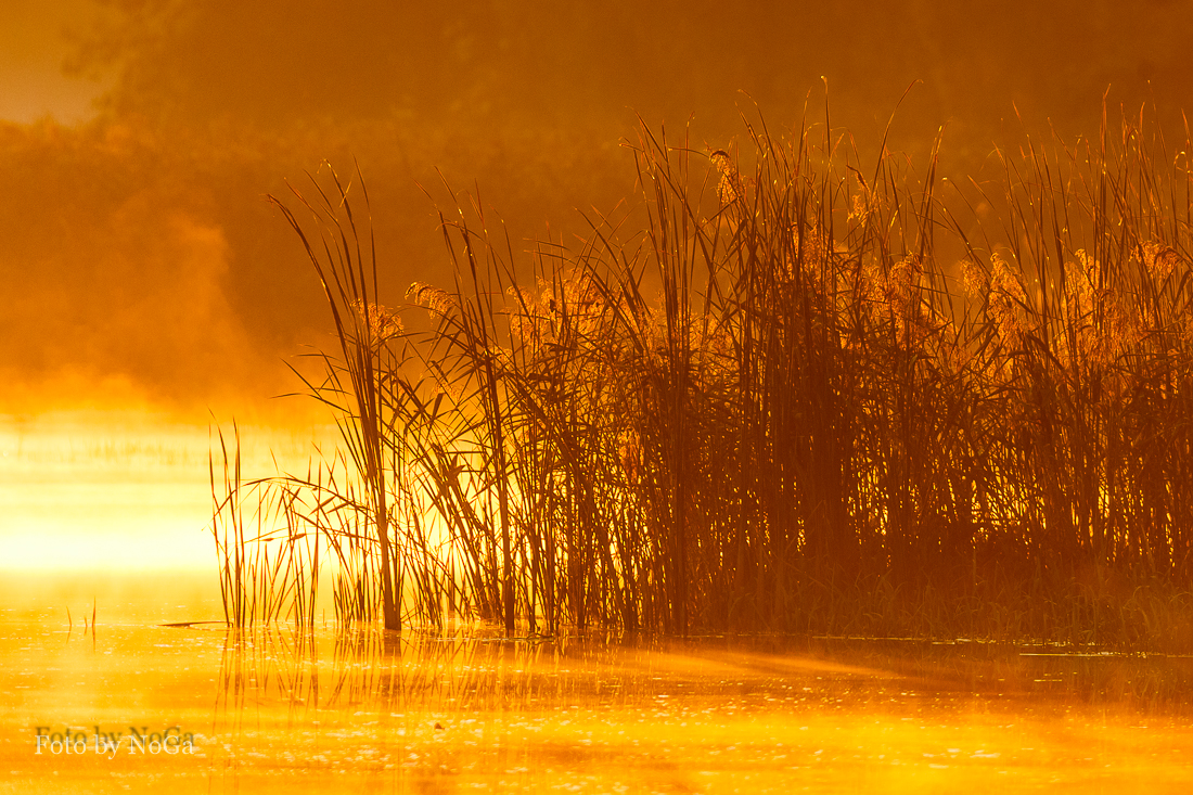 Sonnenaufgang