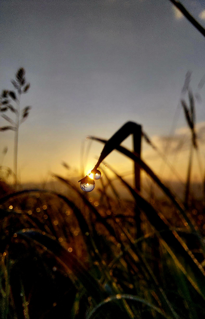 Sonnenaufgang 