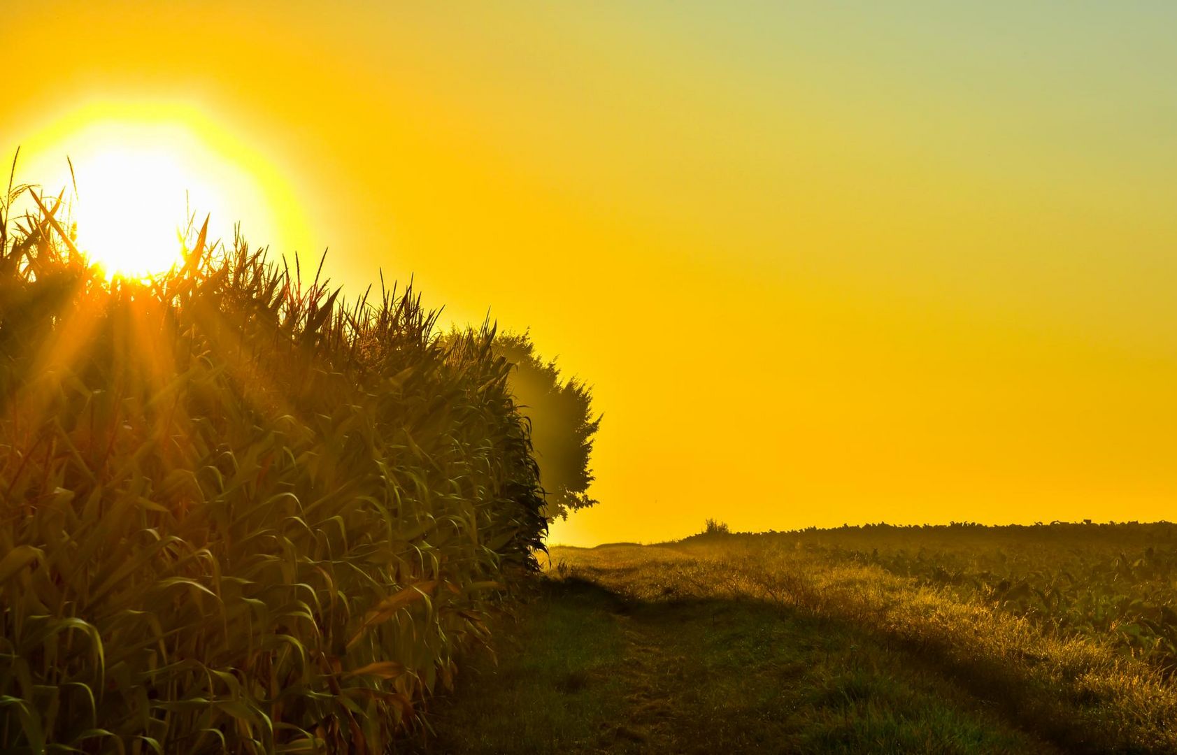 Sonnenaufgang Kalender sonnenaufgang Kalender 2024 Sonnenaufgang Kalender sonnenaufgang Kalender 2024