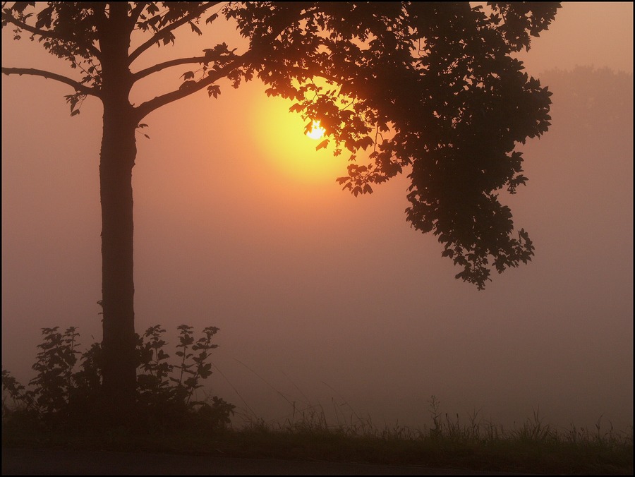 ....sonnenaufgang.....