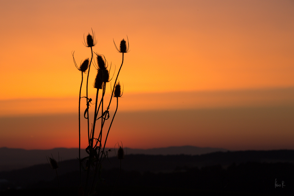 Sonnenaufgang