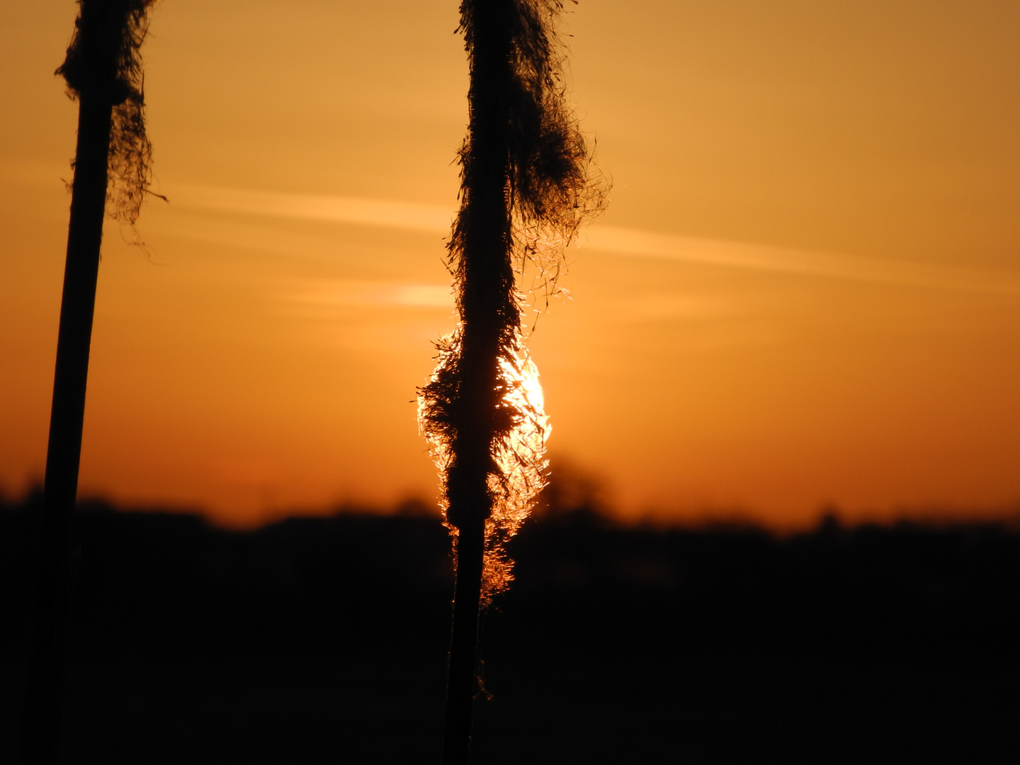 Sonnenaufgang