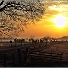 Sonnenaufgang