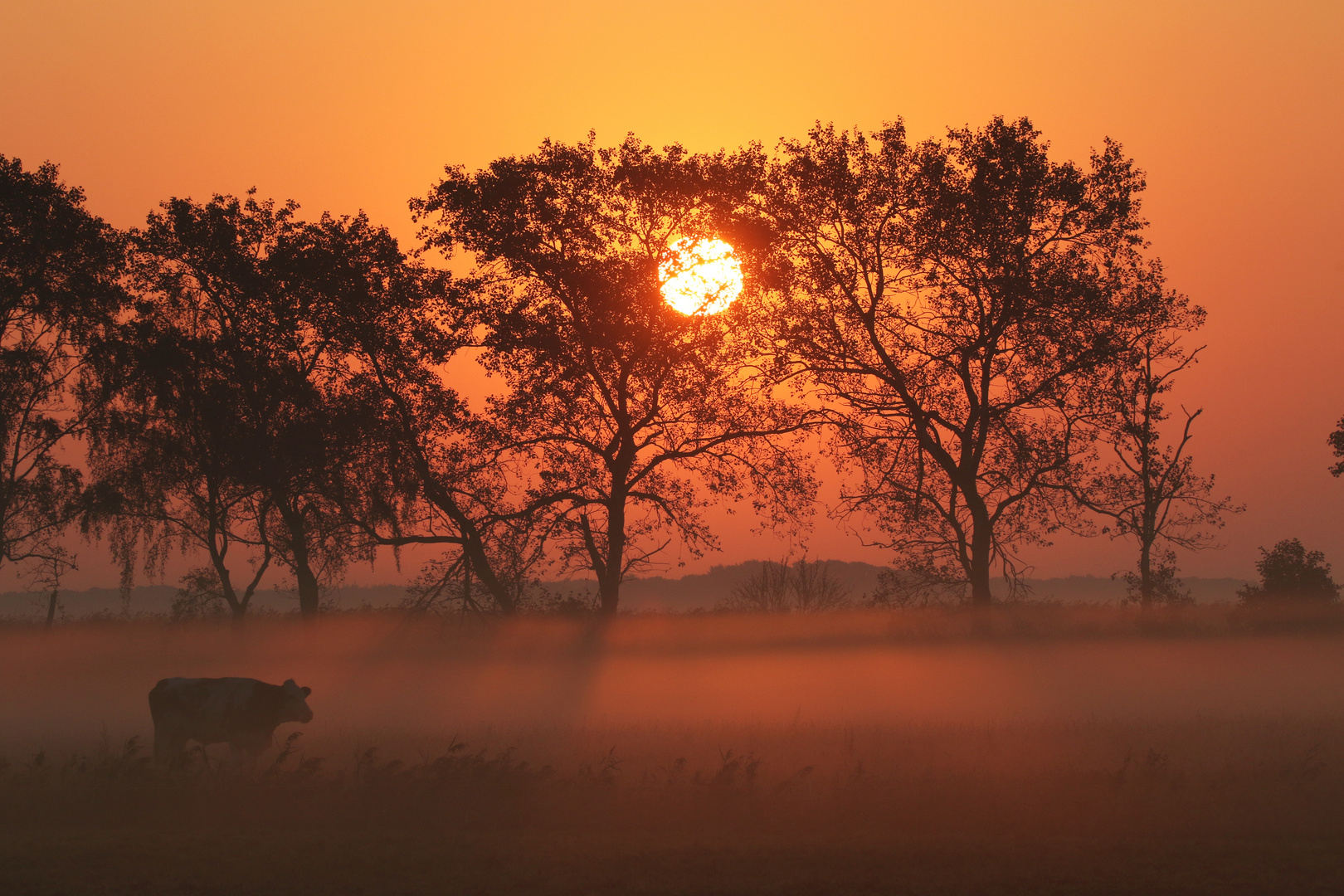 Sonnenaufgang