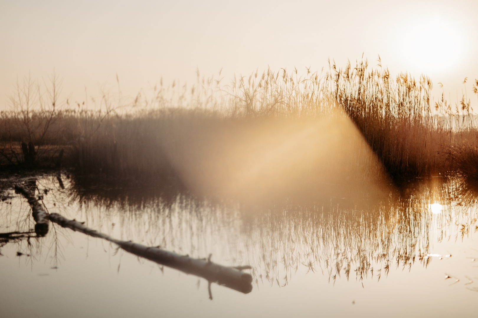 Sonnenaufgang. 