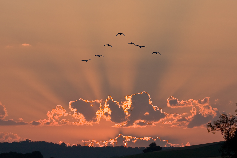 Sonnenaufgang...