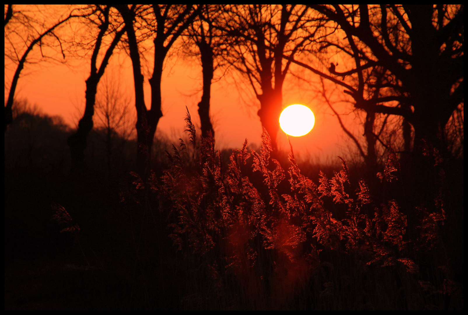 Sonnenaufgang 