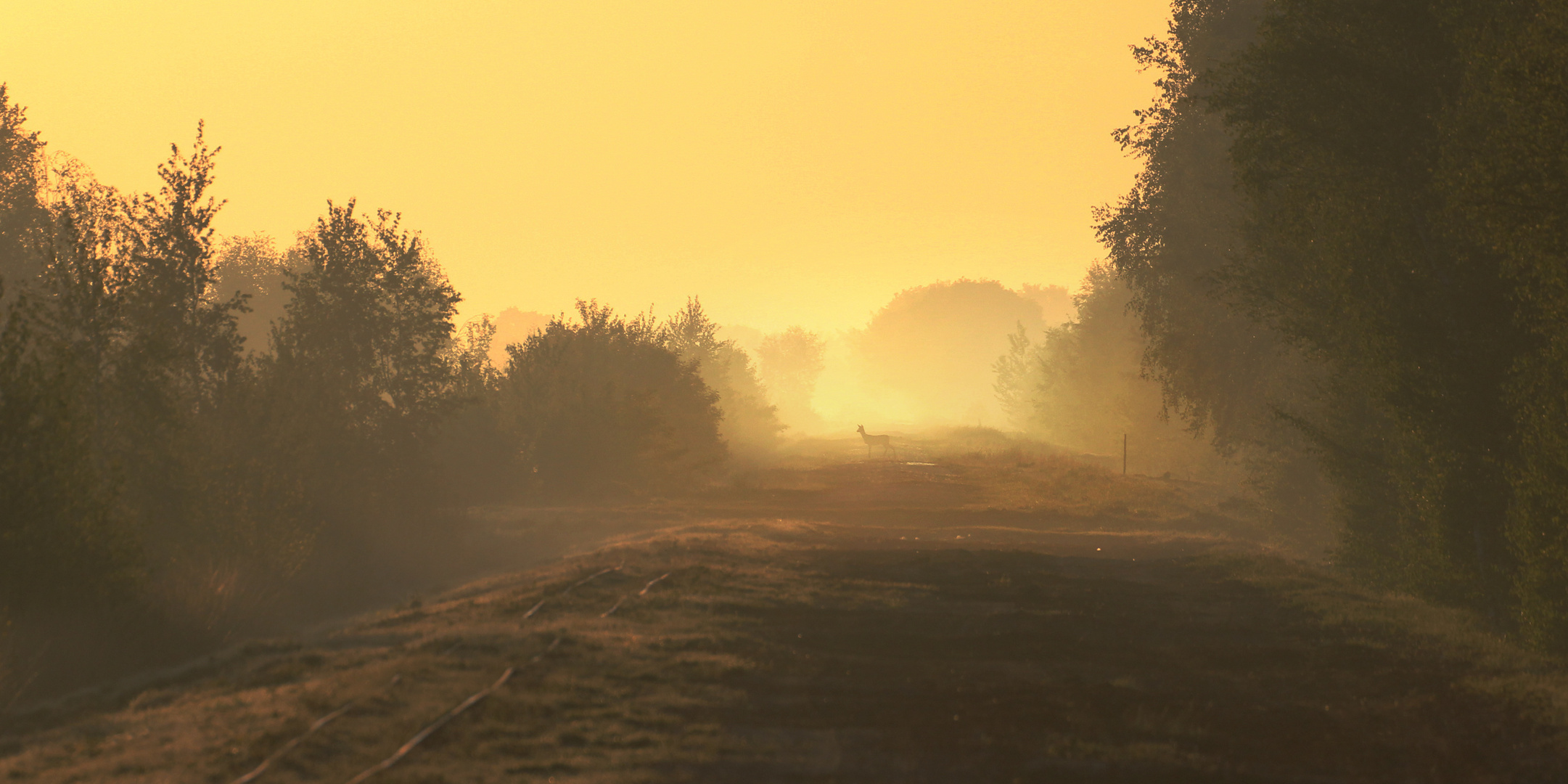 Sonnenaufgang