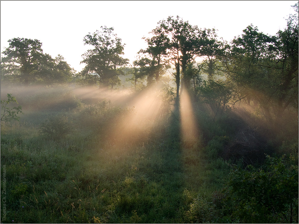 Sonnenaufgang