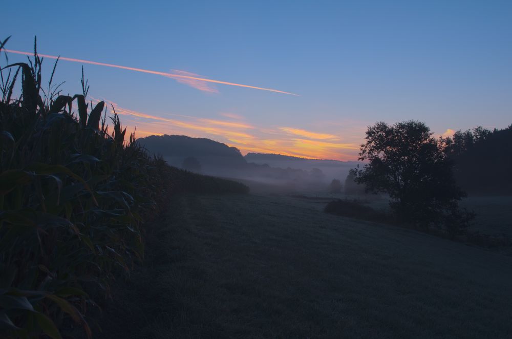 Sonnenaufgang von Jannik Benner 