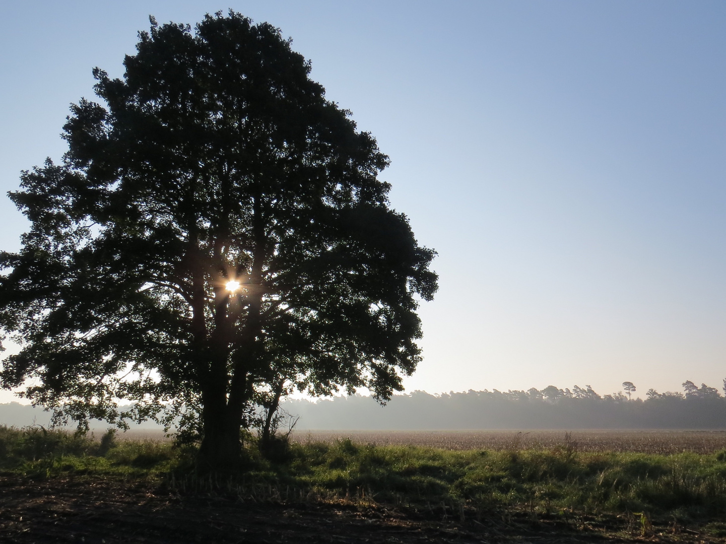 Sonnenaufgang