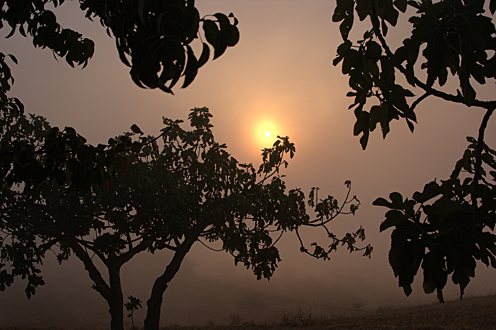 Sonnenaufgang