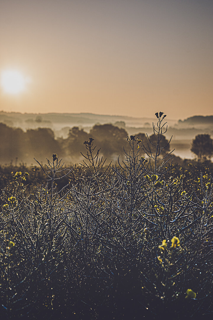 Sonnenaufgang