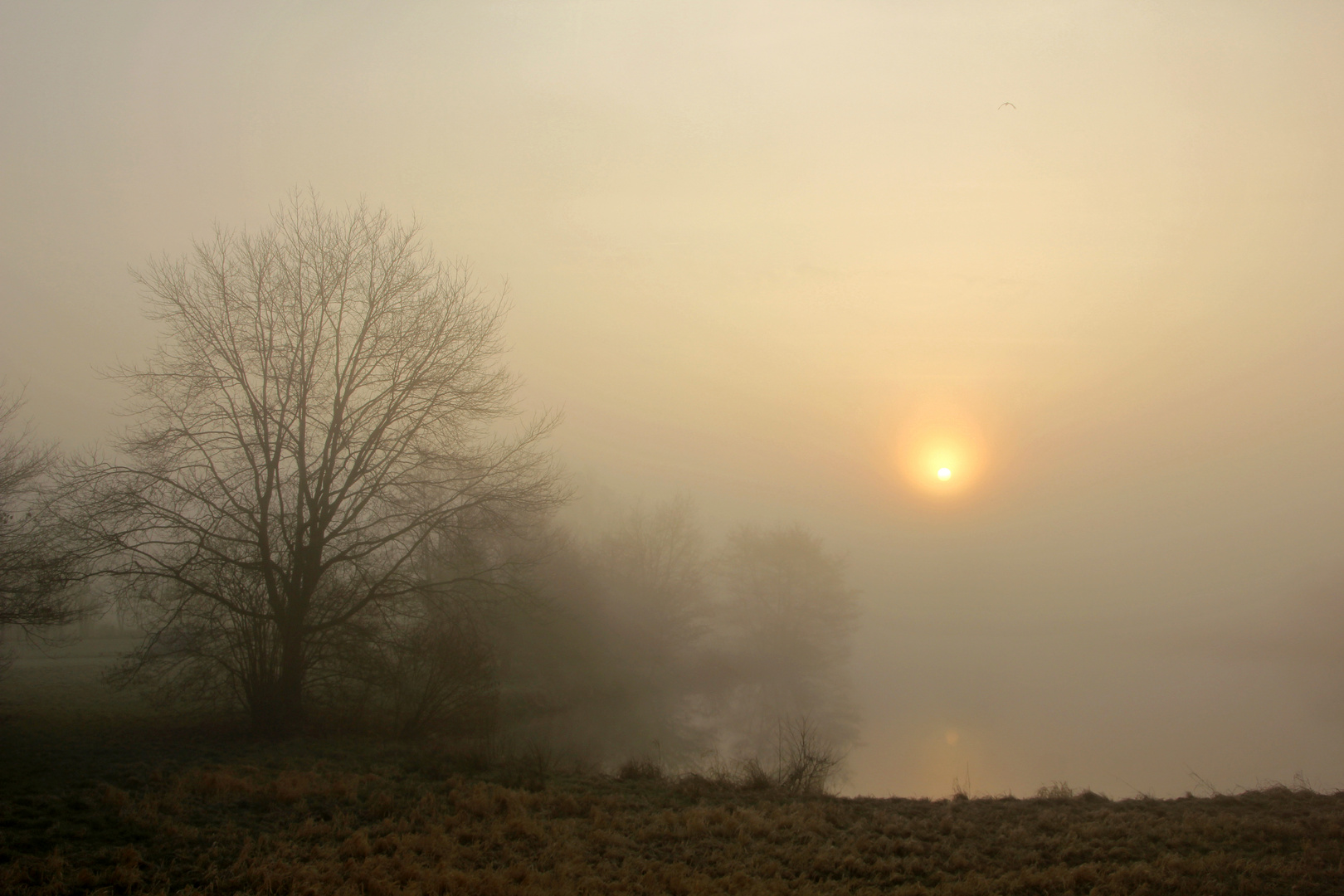 Sonnenaufgang