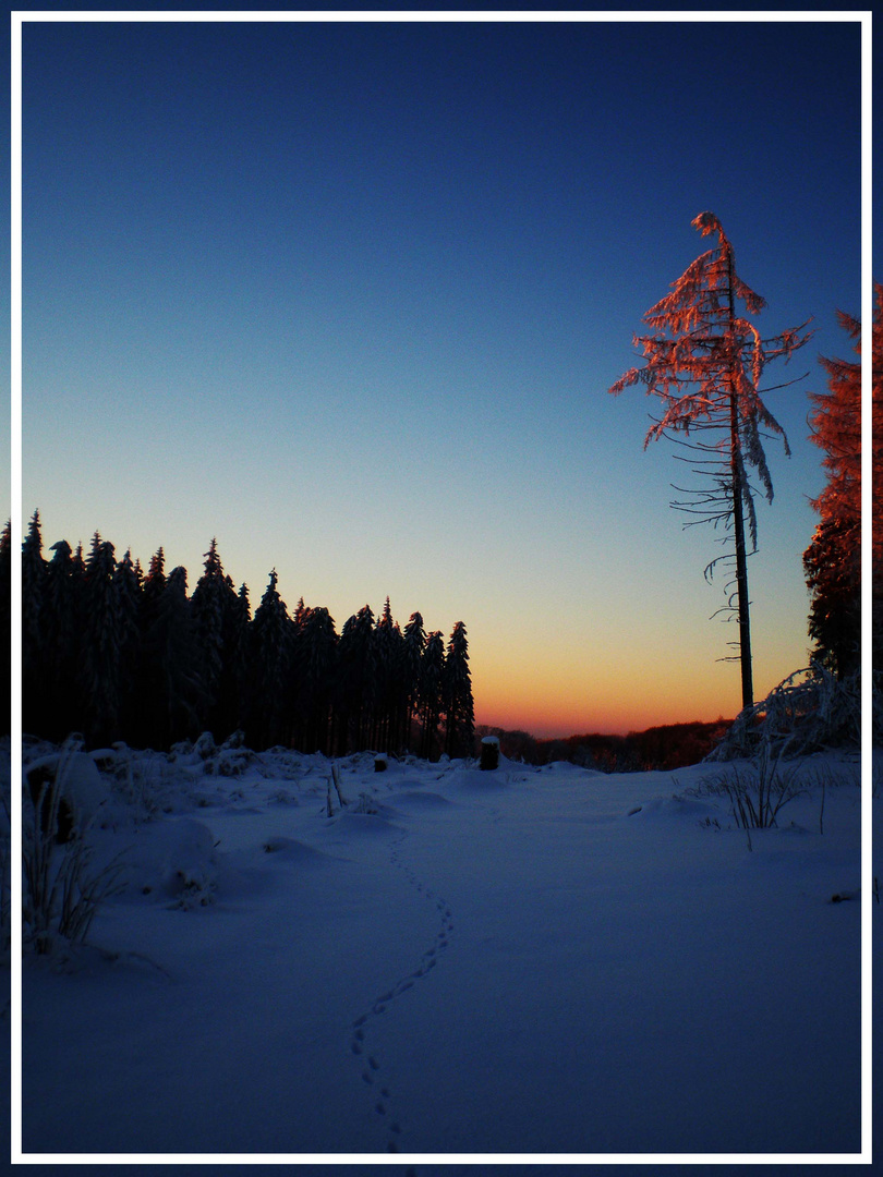 ~ sonnenaufgang ~