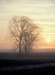 Sonnenaufgang