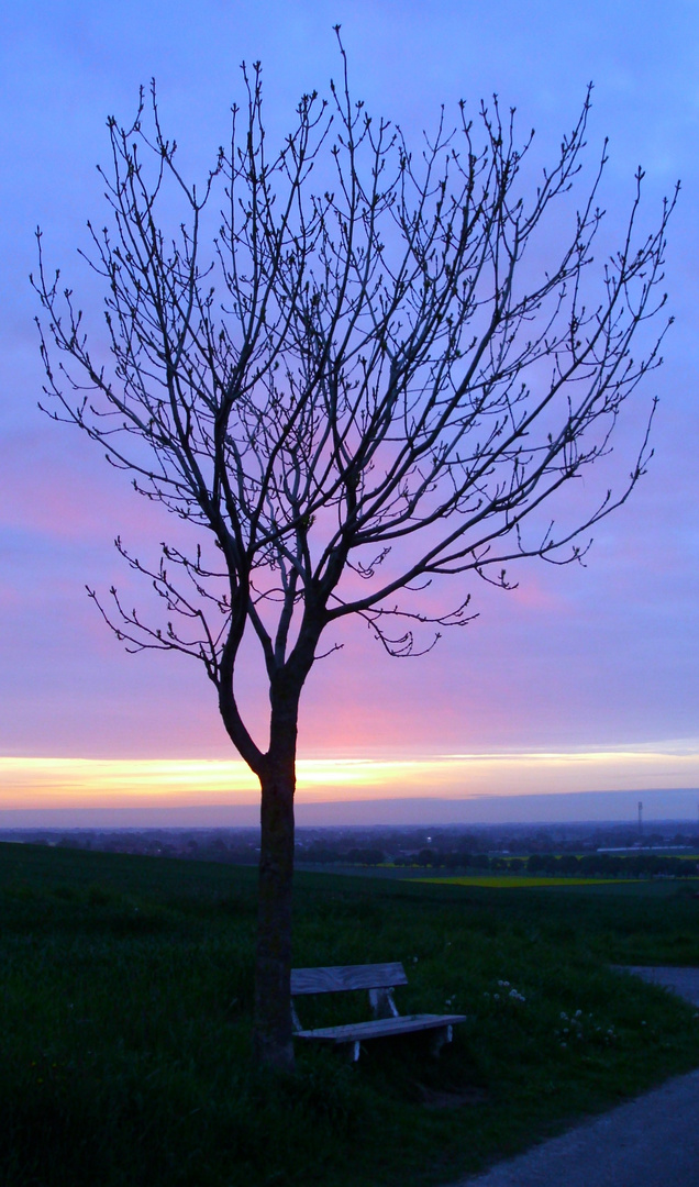 Sonnenaufgang