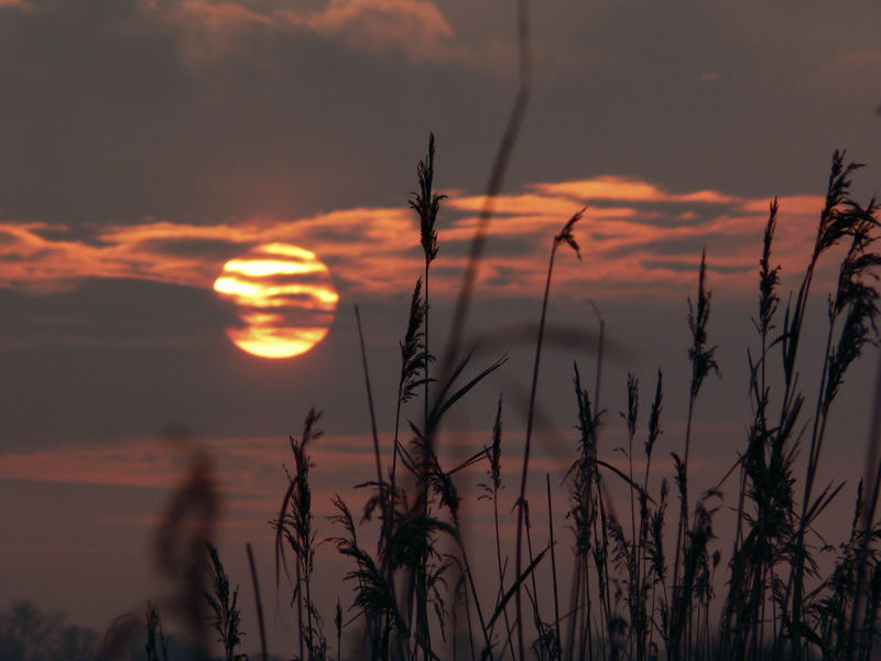 Sonnenaufgang