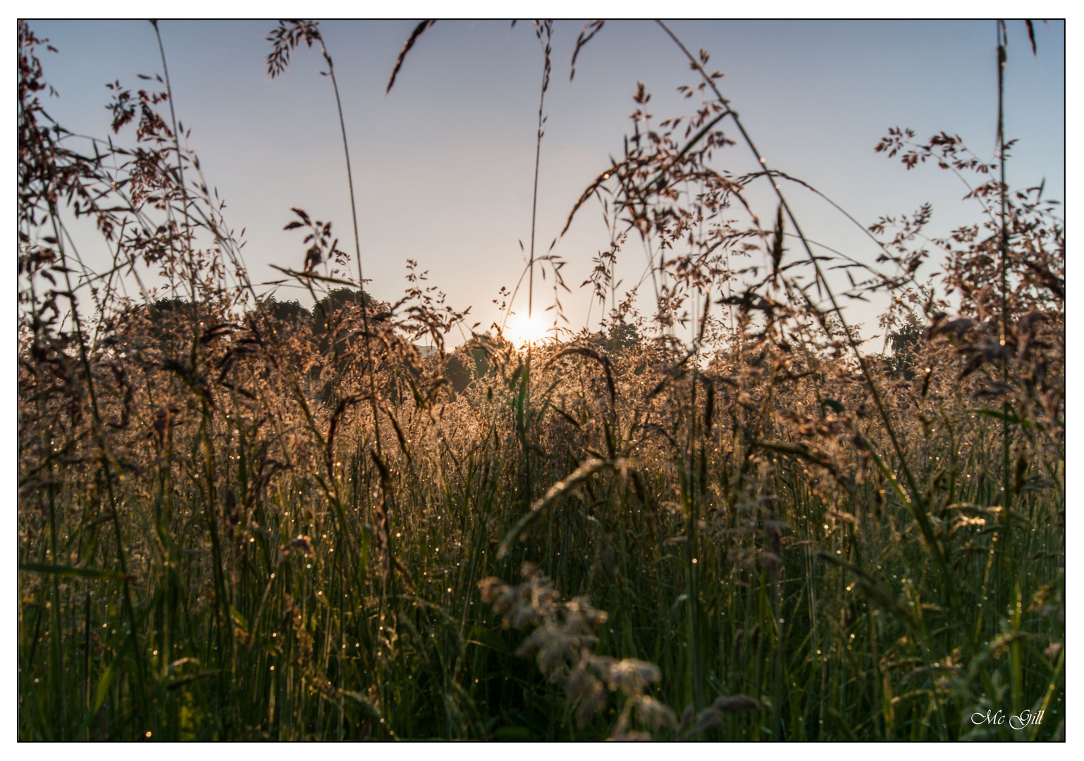 Sonnenaufgang