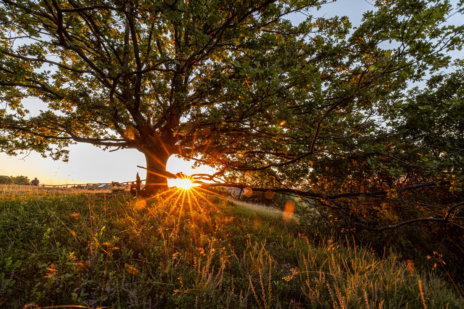 Sonnenaufgang