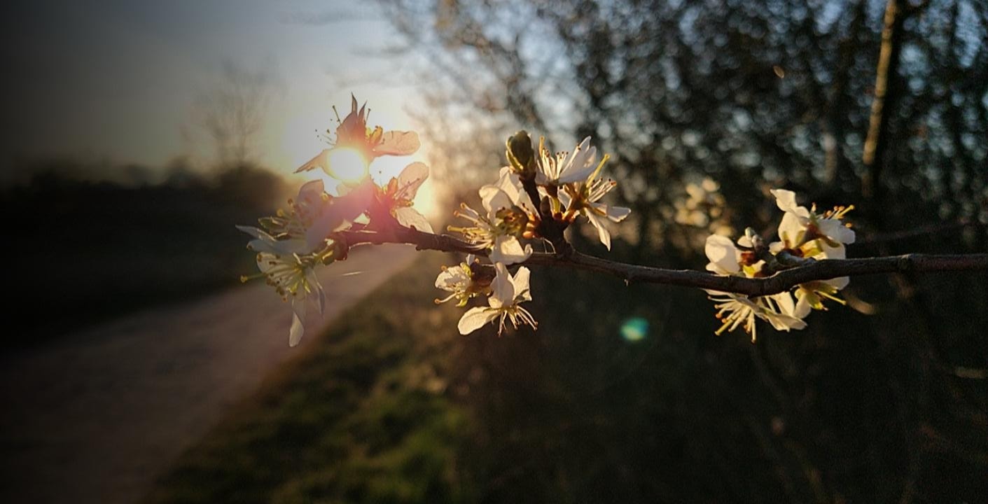 Sonnenaufgang