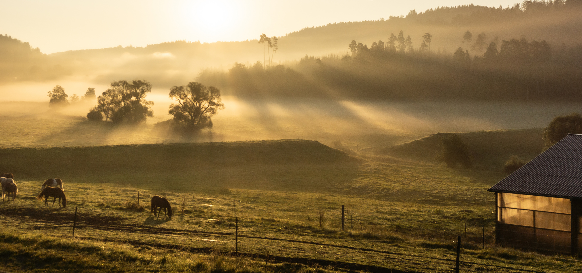 Sonnenaufgang 