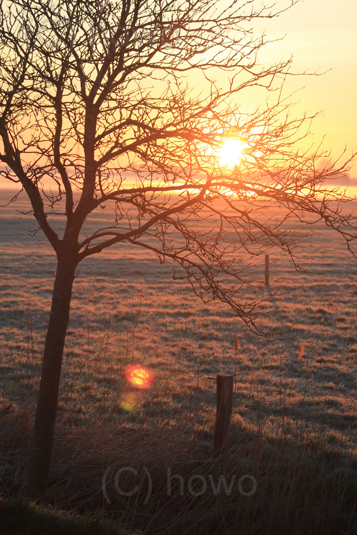 Sonnenaufgang