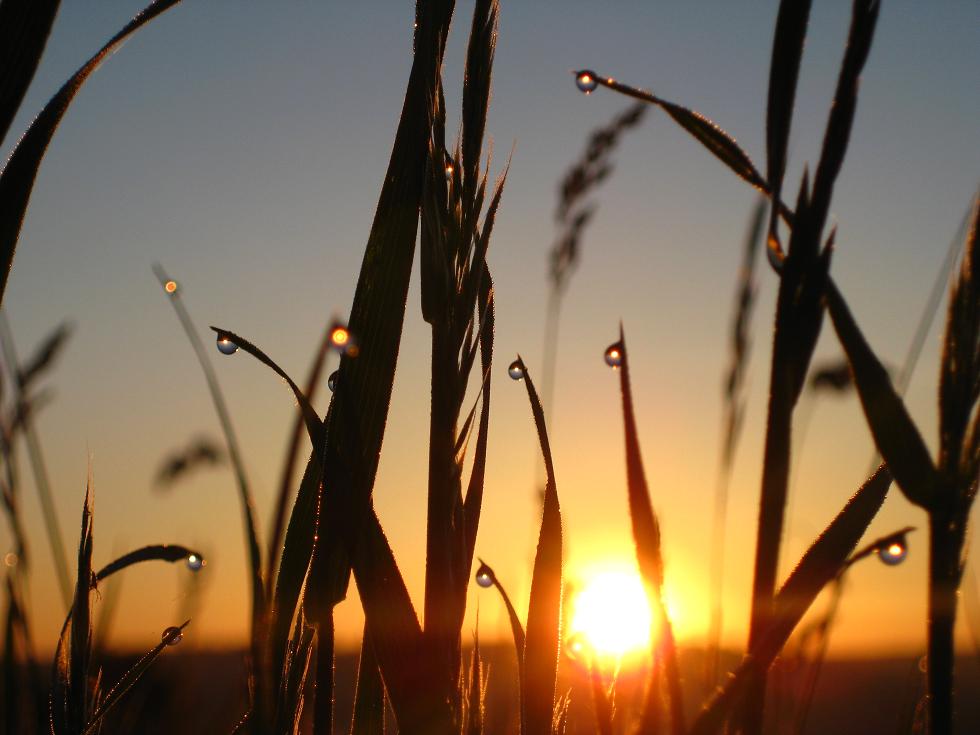 Sonnenaufgang