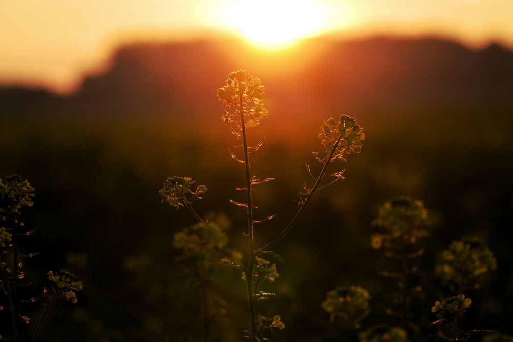 Sonnenaufgang 