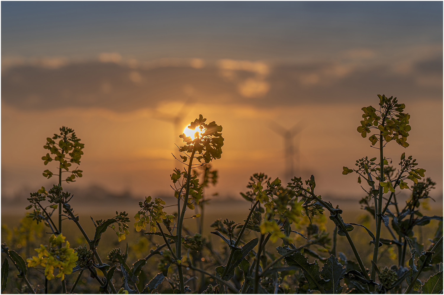 Sonnenaufgang....