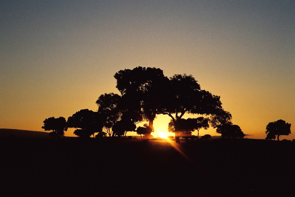 Sonnenaufgang