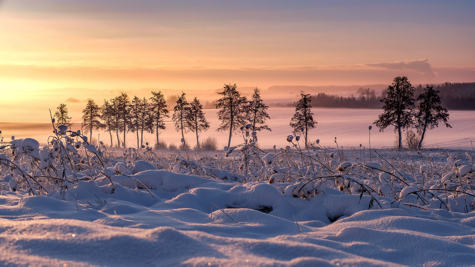 Sonnenaufgang Foto & Bild | landschaft, jahreszeiten, winter Bilder auf