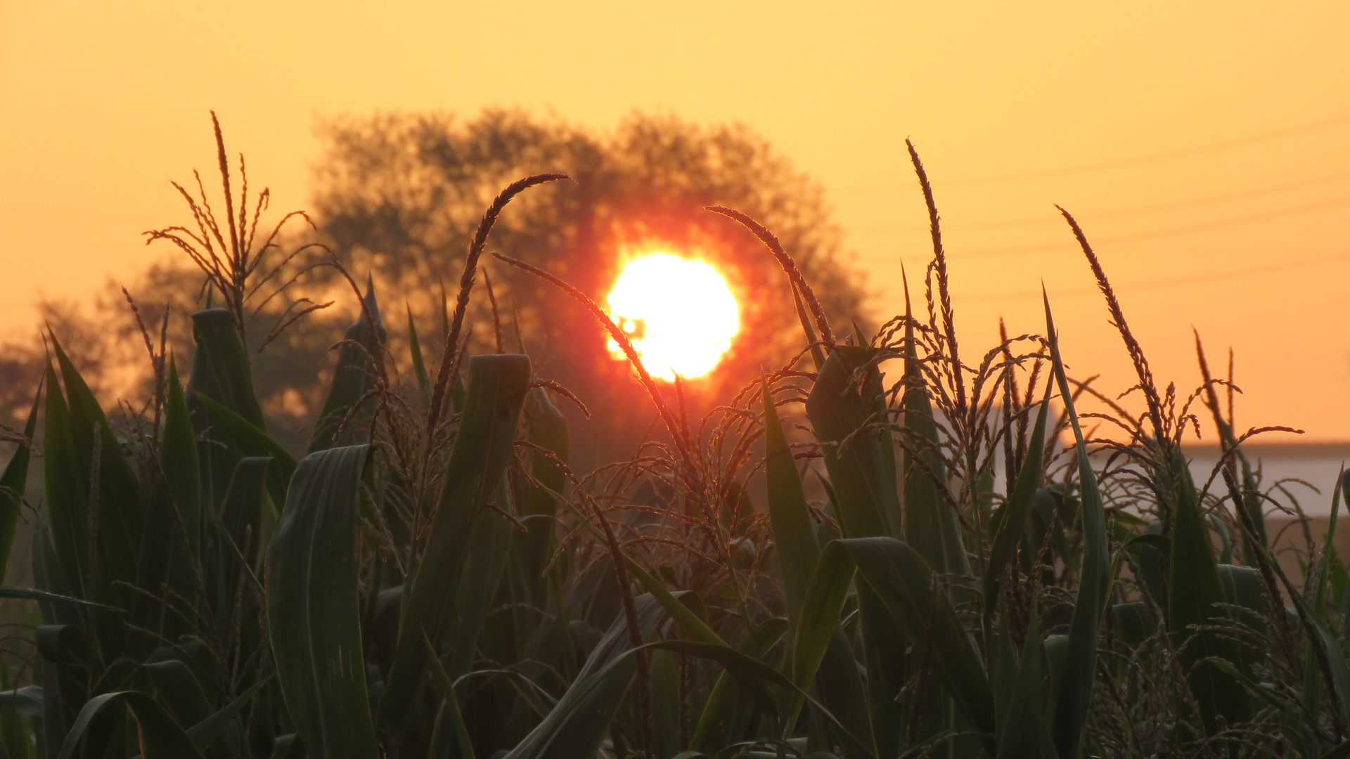 Sonnenaufgang..