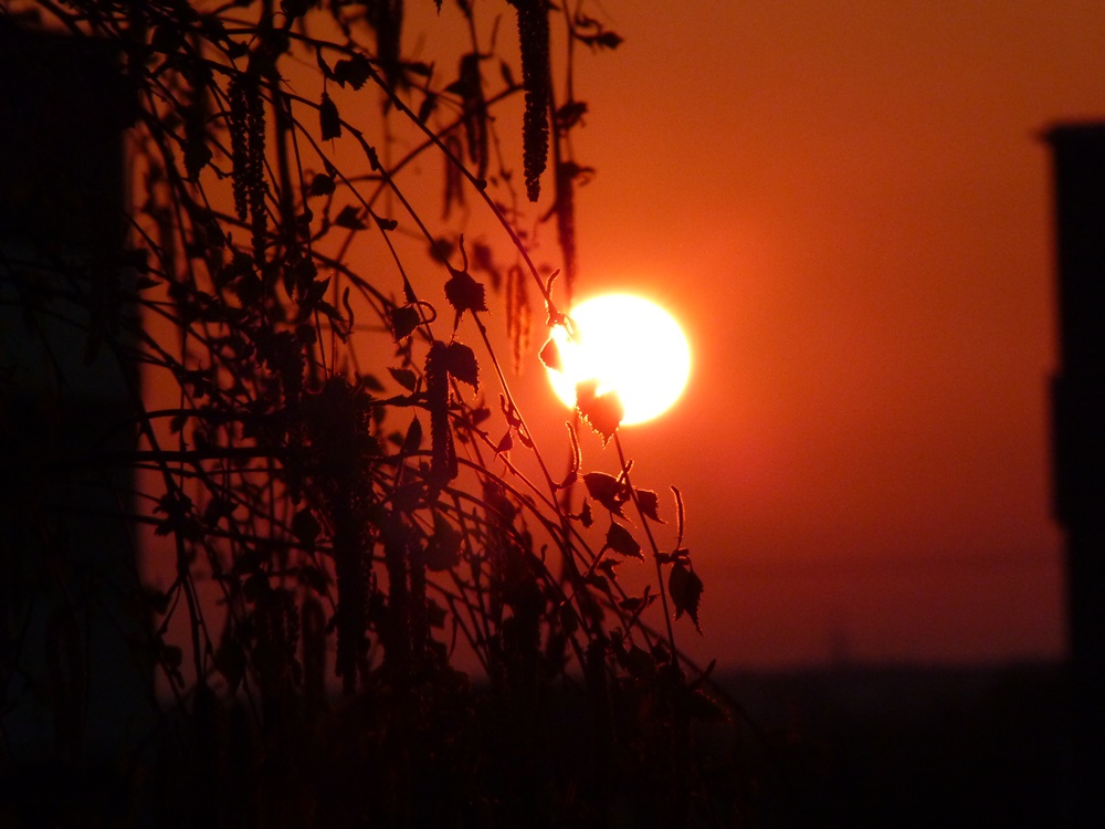 Sonnenaufgang