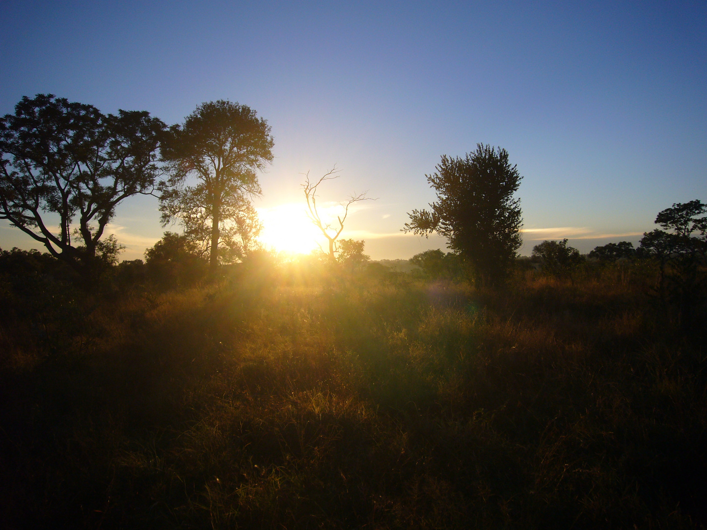 Sonnenaufgang