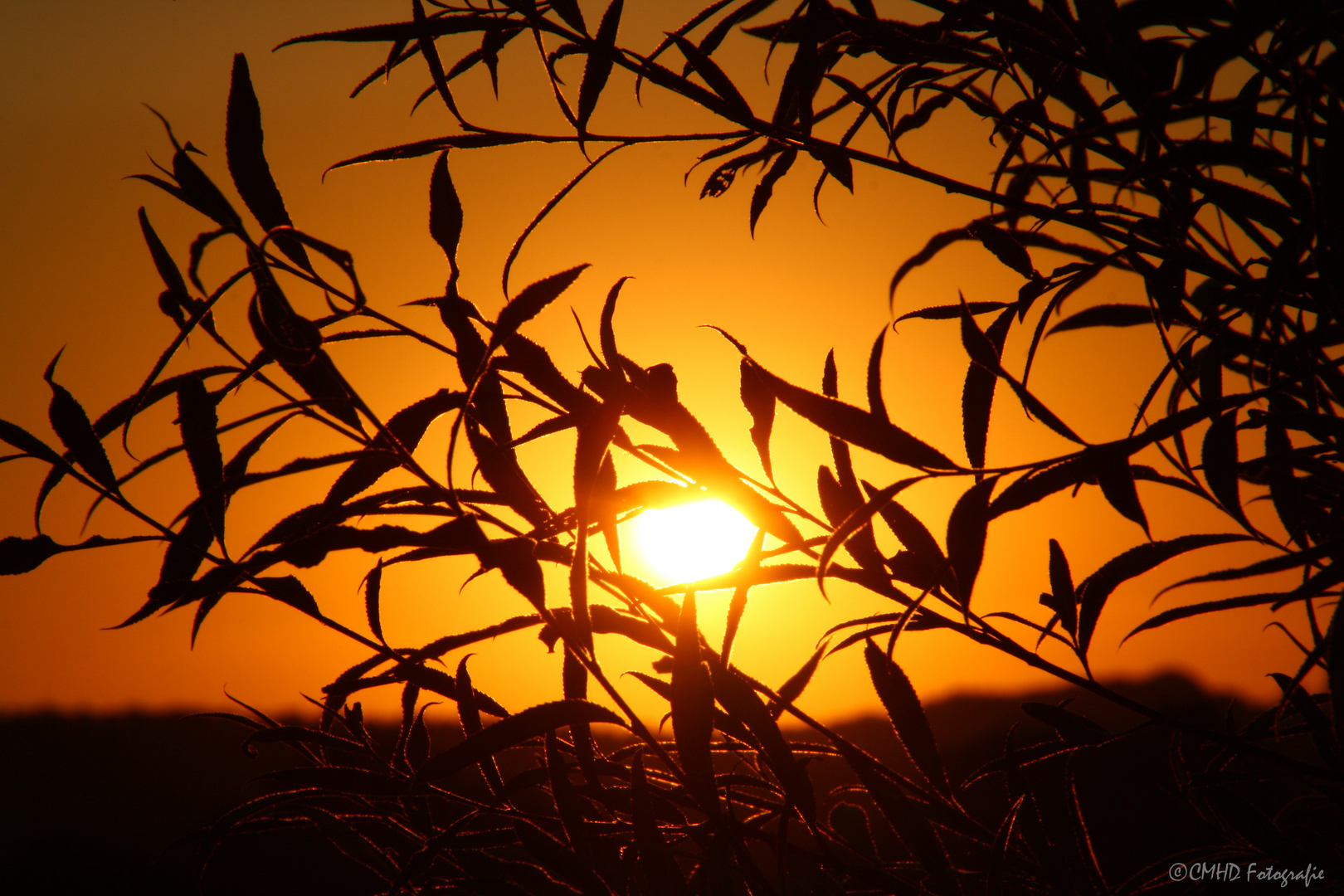 Sonnenaufgang