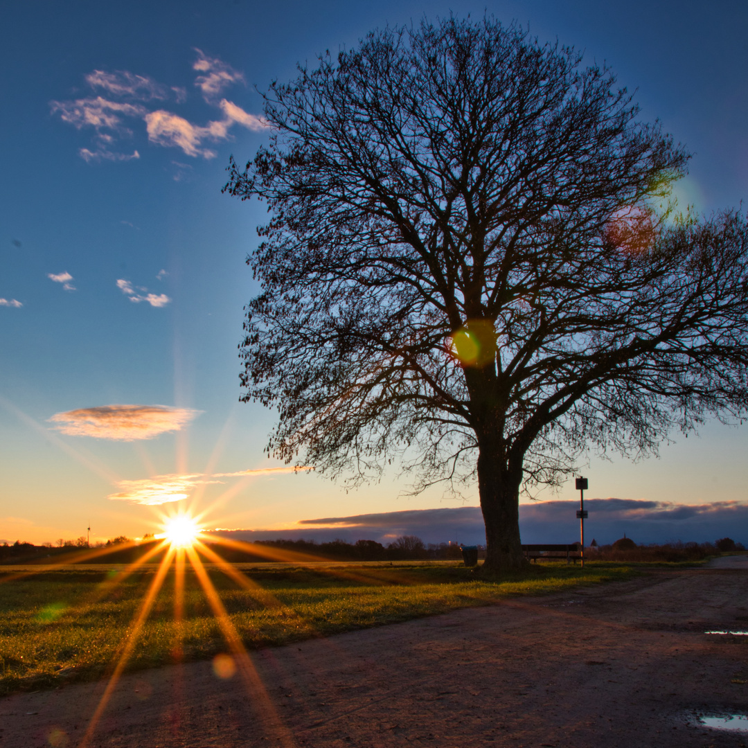 Sonnenaufgang..