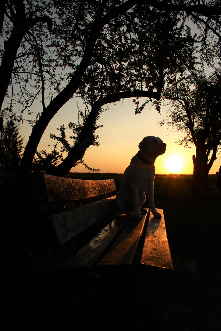 Sonnenaufgang