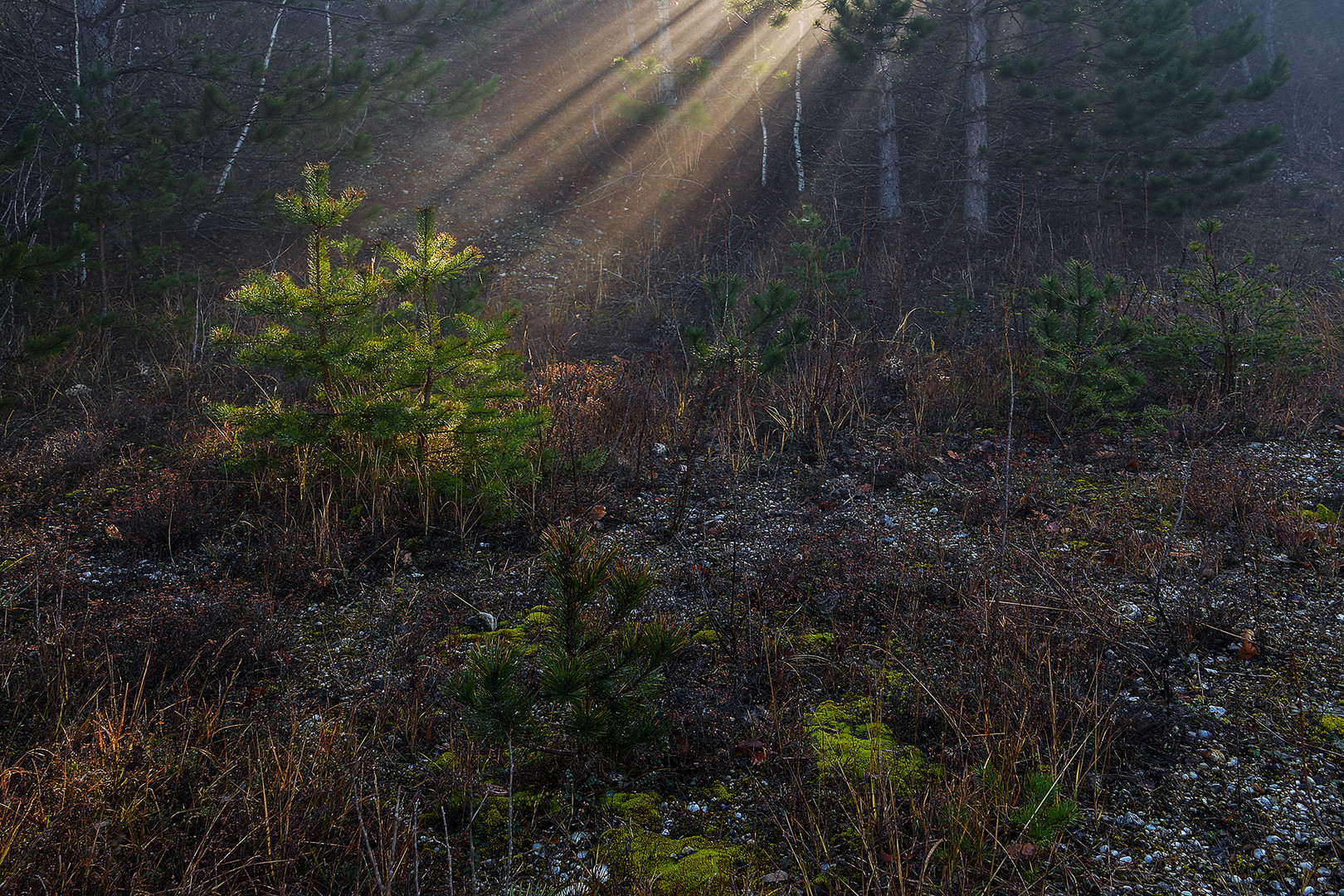 sonnenaufgang