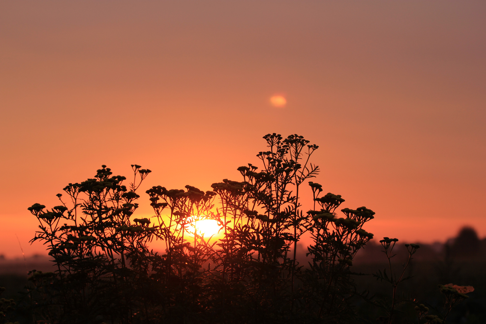 Sonnenaufgang