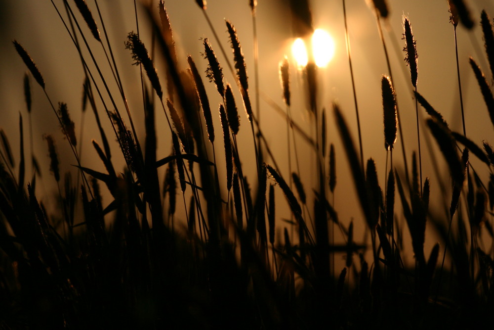 Sonnenaufgang