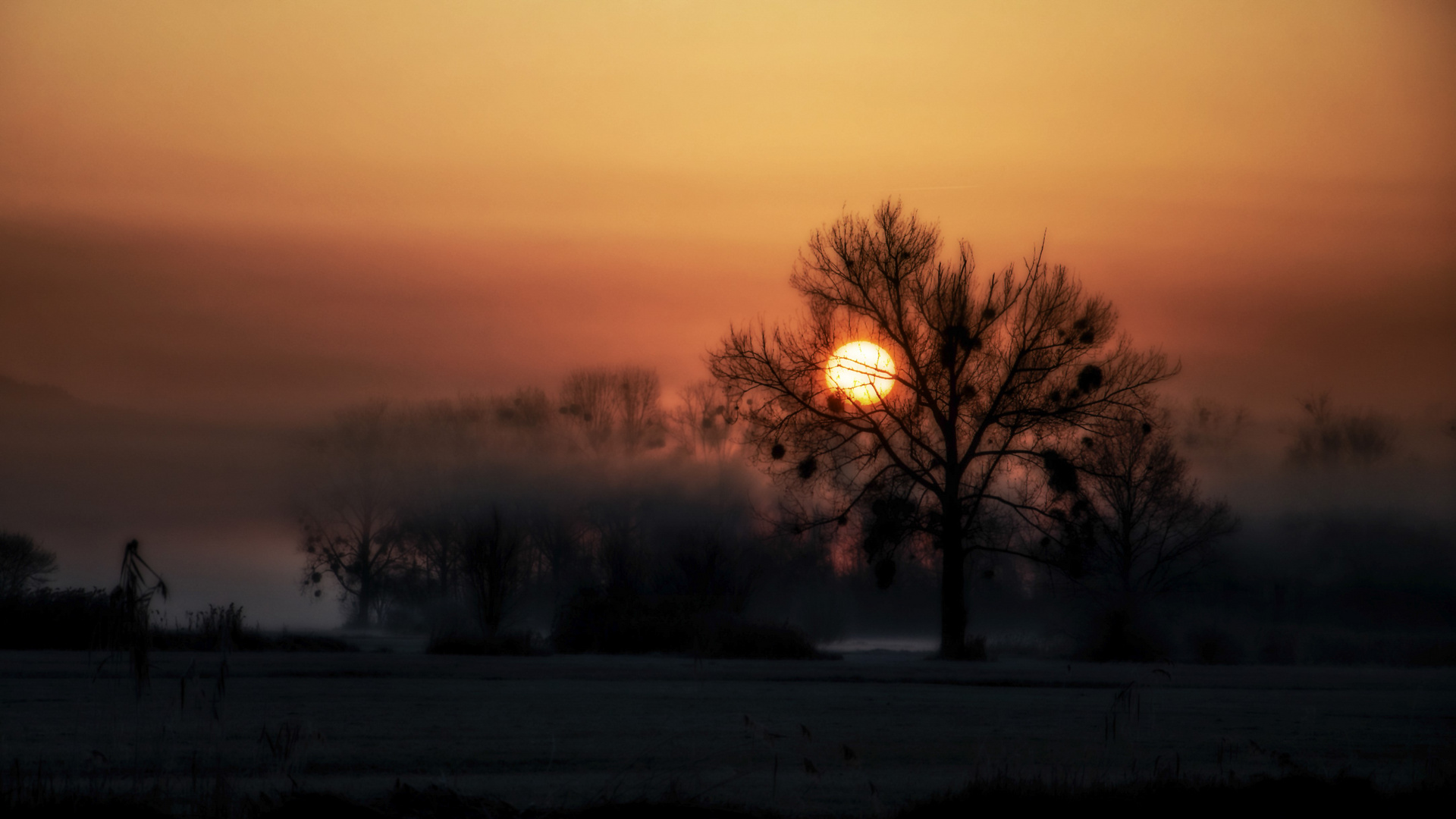 sonnenaufgang