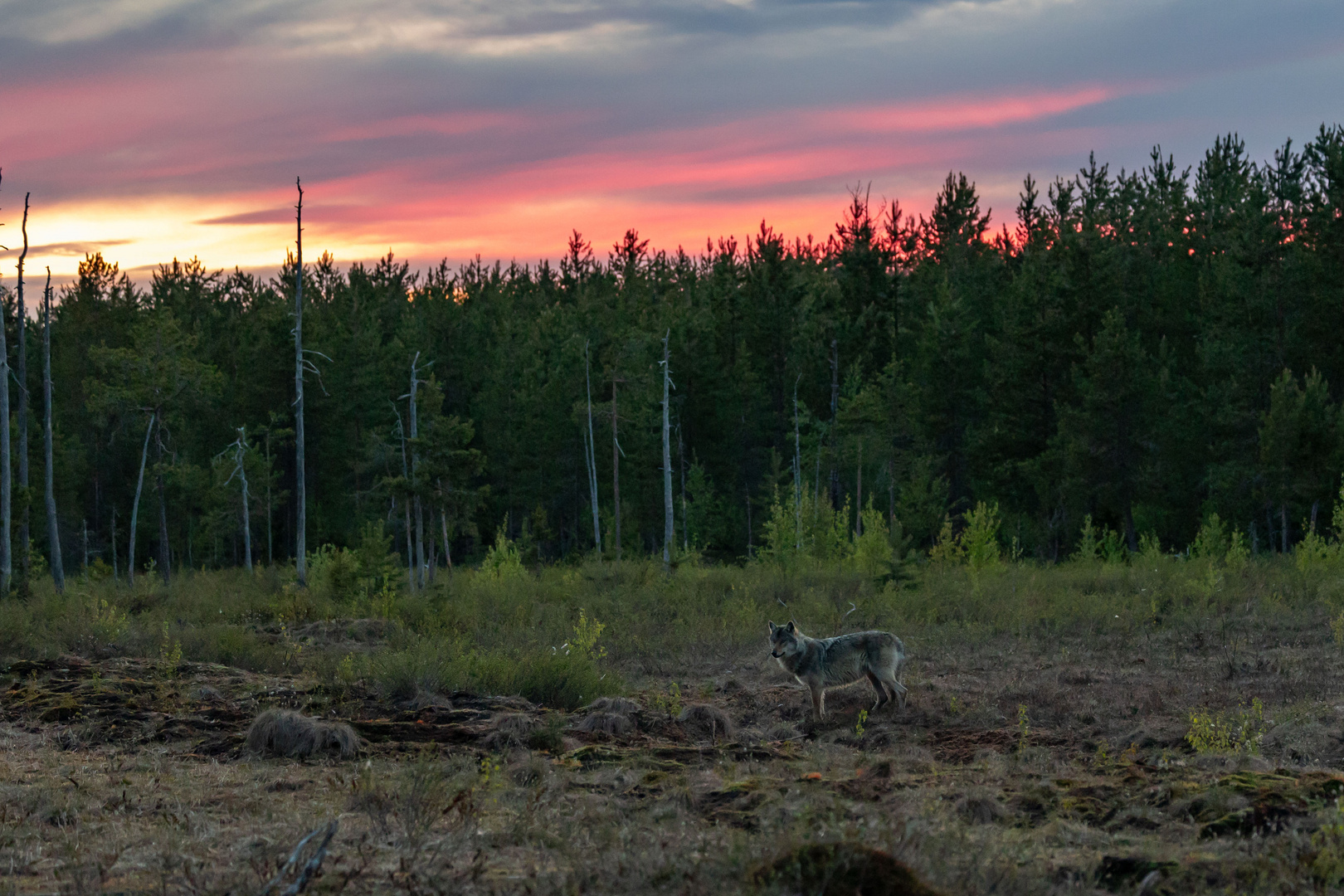 Sonnenaufgang 784A6816.jpg bps