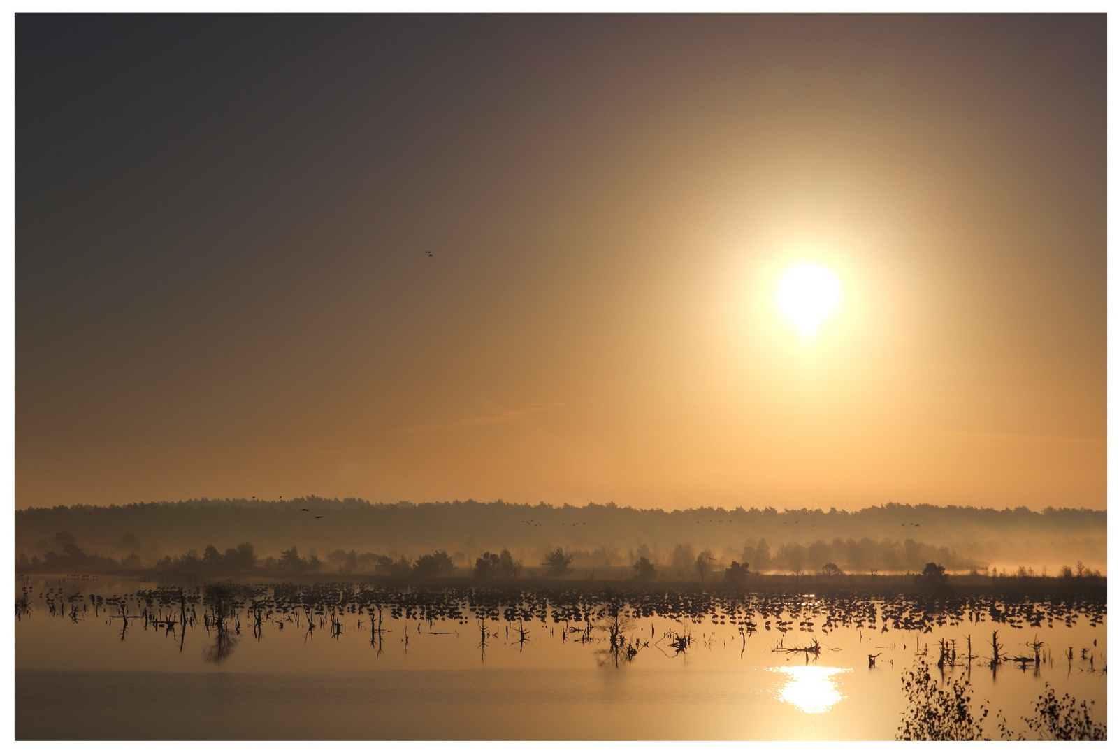 Sonnenaufgang