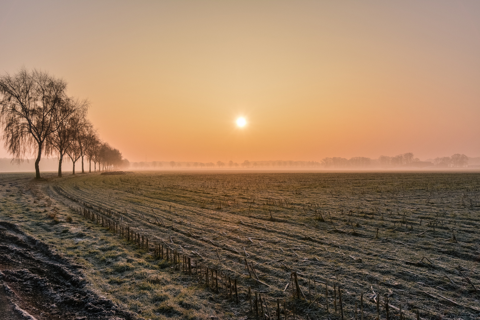 Sonnenaufgang